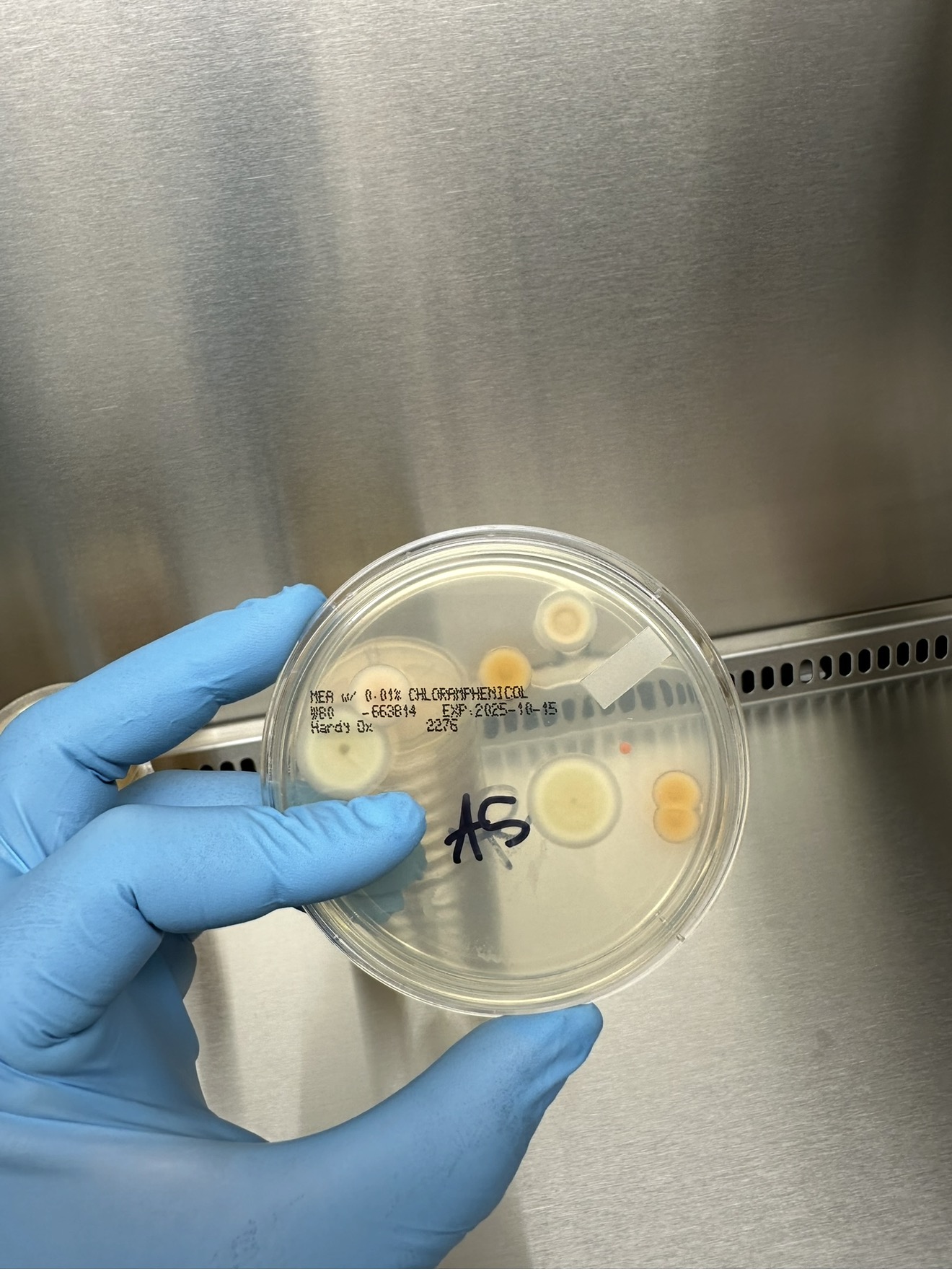 LabCertTech environmental monitoring and microbial sampling services Houston Texas